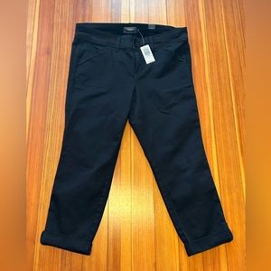 Torrid Women’s black crop pants